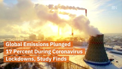 The Lockdowns Have Changed The Environment