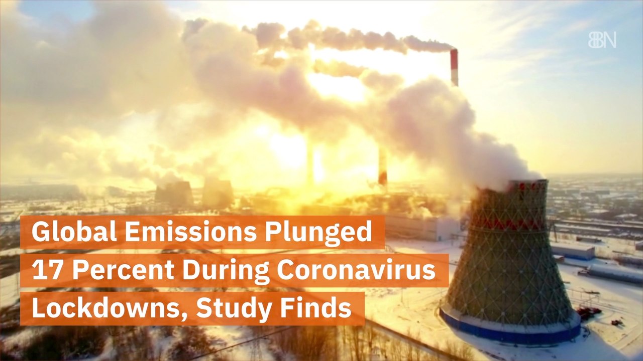The Lockdowns Have Changed The Environment