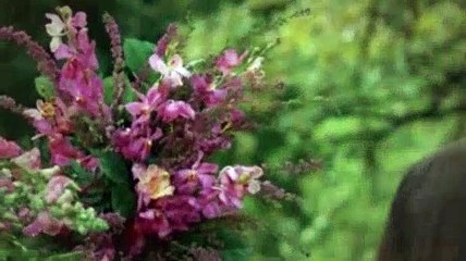 Prison Break S01E12 Odd Man Out