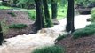 Floodwaters rage down small creek