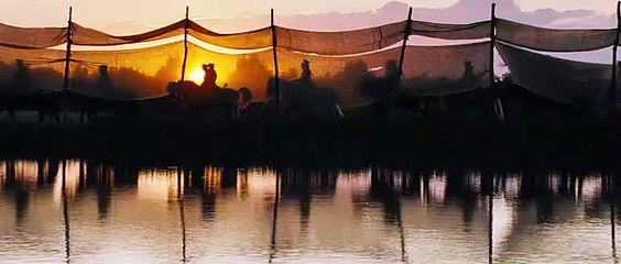 Caballo de batalla (War Horse) - Tráiler final español
