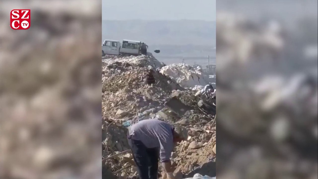 Hayvanseverleri ayağa kaldıran görüntü