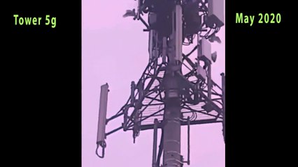 never seen before - birds attack tower 5g