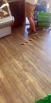 Dog Politely Maintains Social Distancing Regulations