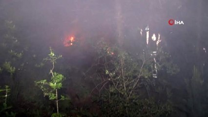 Aydos Ormanı'nda havai fişek nedeniyle yangın çıktı