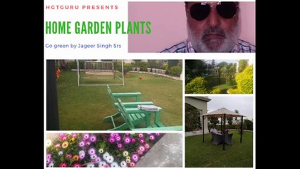 Front lawn of my home. Full video of how to maintain your lawn.