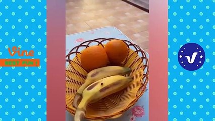 funny story 5 (Seseon Hana)