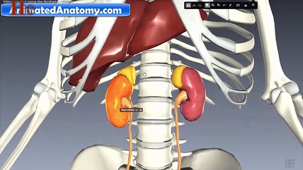 Kidney stone remove without operation