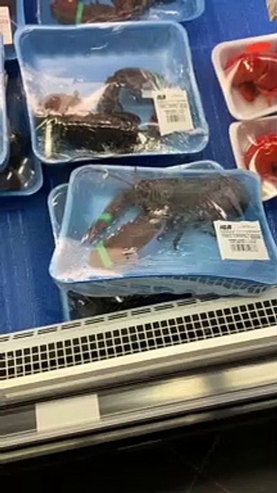 Un IGA d’Amos est dans l’embarras...les homards sont emballés vivants