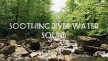 Relaxing River Water Sound for Yoga, Meditation & Sleep | River Sounds | Nature Sounds