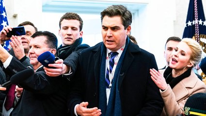 Lawyer reveals courtroom tactics that White House reporters can use to treat President Trump like a 'hostile witness' during press briefings