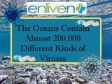 The oceans contain almost 200,000 different kinds of viruses.