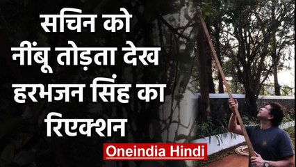 Harbhajan Singh tweeted a video in which Sachin Tendulkar plucking lemon from a tree |वनइंडिया हिंदी