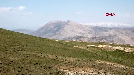 VAN PANDEMİ SÜRECİNDE KAÇAK GÖÇMEN SAYISINDA REKOR DÜŞÜŞ YAŞANDI