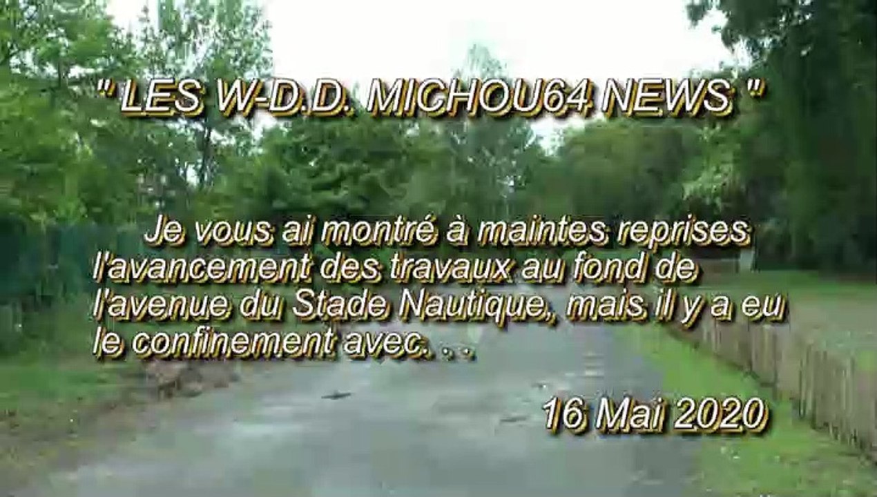 LES W-D.D. MICHOU64 NEWS - 16 MAI 2020 - PAU - L'ARRÊT DES TRAVAUX AU FOND DE L'AVENUE DU STADE NAUTIQUE