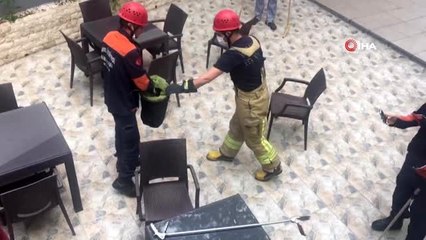 İstanbul'un göbeğinde yılan paniği