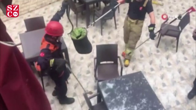 İstanbul’un göbeğinde yılan paniği