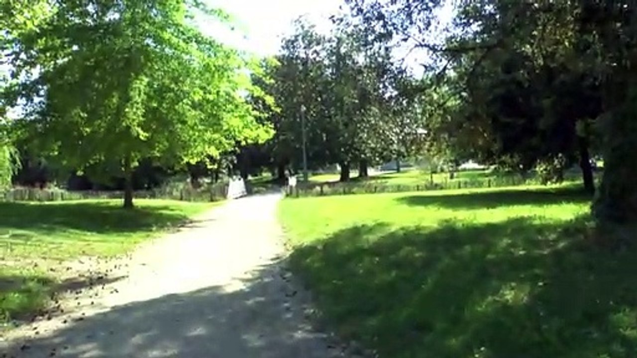 LES W-D.D. MICHOU64 NEWS - 18 MAI 2020 - PAU - DES RÉPARATIONS AU PARC BEAUMONT ET REPRISE DES TRAVAUX DU SKATEPARK