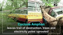 Cyclone Amphan leaves trail of destruction, trees and electricity poles uprooted