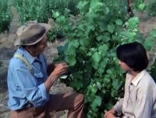 Mannix S05E04 Wine from These Grapes