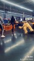 Déguisé en ours en peluche il surprend les gens au supermarché !