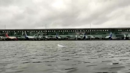 Kolkata Airport badly affected by AMPHAN..