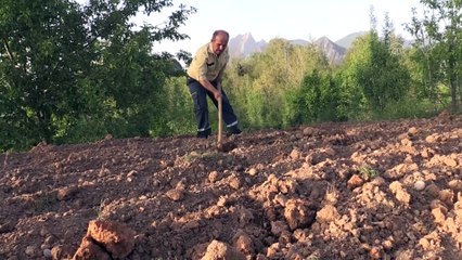 Herkesten uzakta ülkenin akciğerlerini gözetliyorlar - KAHRAMANMARAŞ