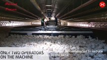 Amazing Modern Chicken Harvest Automatic Machines Process, This Tools Save for Farm Million Dollar