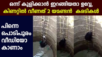 കിണറിൽ നിന്നും കരടികളെ രക്ഷിക്കുന്ന വീഡിയോ : Oneindia Malayalam