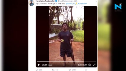 Watch, Sachin Tendulkar plucks lemons from tree, Harbhajan Singh requests some for himself