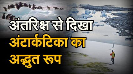 Climate Change Antarctica जानिए अंटार्कटिका में क्यों नजर आई हरियाली, अंतरिक्ष से भी दिखा नजारा