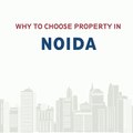 Why to choose property in noida? | Best home buying opportunities | Lockdown offers