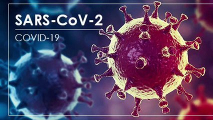 Short documentary on coronavirus,part-1 (in HINDI)