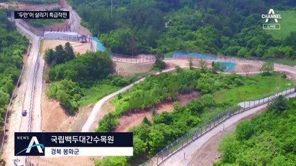 “걷기도 힘들어요” 쇠약해진 19살 백두산 호랑이 ‘두만’