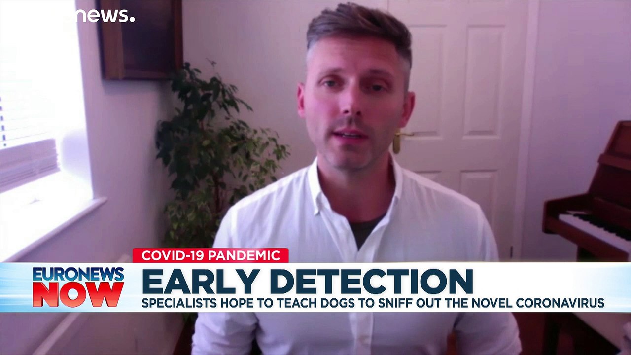 Release the hounds: UK deploys dogs to sniff out coronavirus