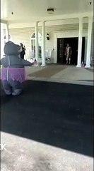 Une femme se déguise en hippopotame pour aller rendre visite à sa mère dans un centre de soins