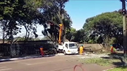 下载视频: Trecho da Rua da Bandeira está interditado para a poda de árvores