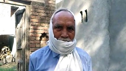 सहारनपुर पशुशाला में लगी भीषण आग4 पशुशाला जलकर हुई खाक,