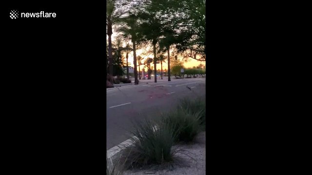 Three injured at Arizona shopping complex shooting, says police