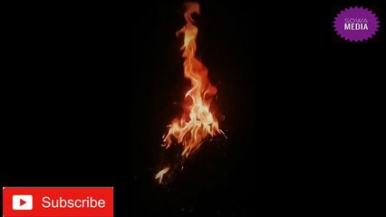 কলিজাতে দাগ লেগেছে হাজারে হাজার আমার ভালোবাসার ময়না পাখি এখন জানি।কার ।