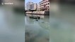 Law enforcement officers in China rescue stranded whale in shallow water