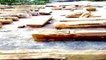 Ancient sculptures, pillars, Shivling found at Ram Janmabhoomi, claims Ram Temple Trust
