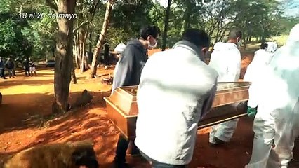 El mundo supera los cinco millones de casos de coronavirus