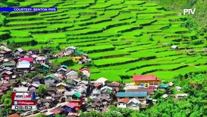 Bay-yo Tribe members stranded in Quezon City due to CoVID-19 pandemic