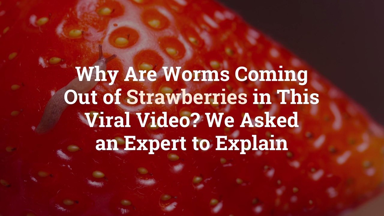 Why Are Worms Coming Out of Strawberries in This Viral Video? We Asked an Expert to Explai