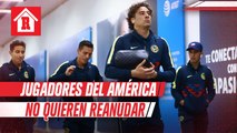 América: Algunos jugadores no desean que se reanude el Clausura 2020