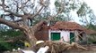Cyclone Amphan leaves behind devastated India