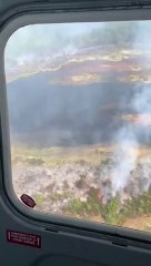 Footage from the helicopter flying over Hatfield Moors