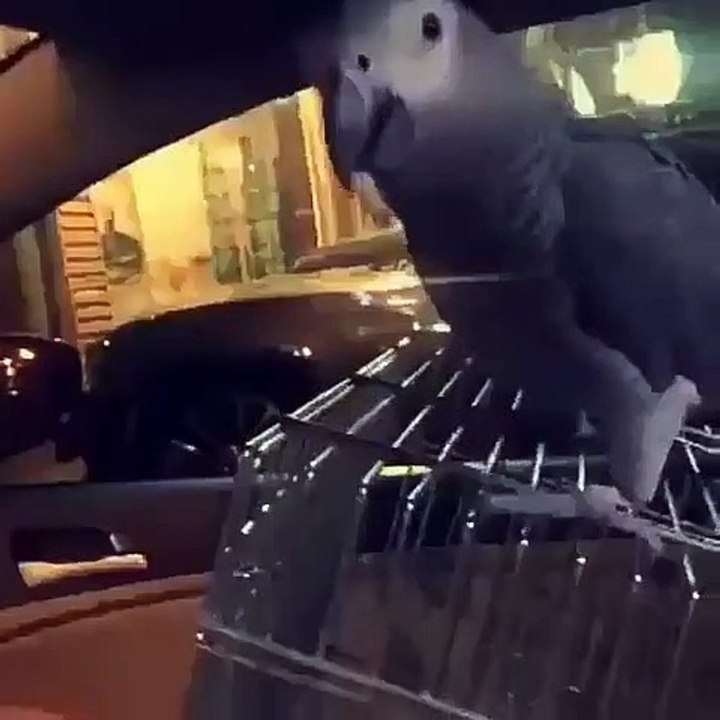 Instagram photos and videos ههههههههههههههههههههههههههههههههههههههههههههه