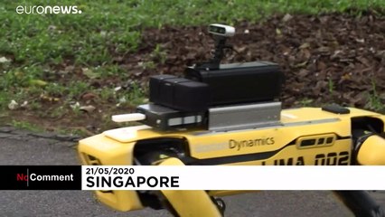 Cão-robô Spot patrulha parque de Singapura